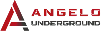AU-Logo